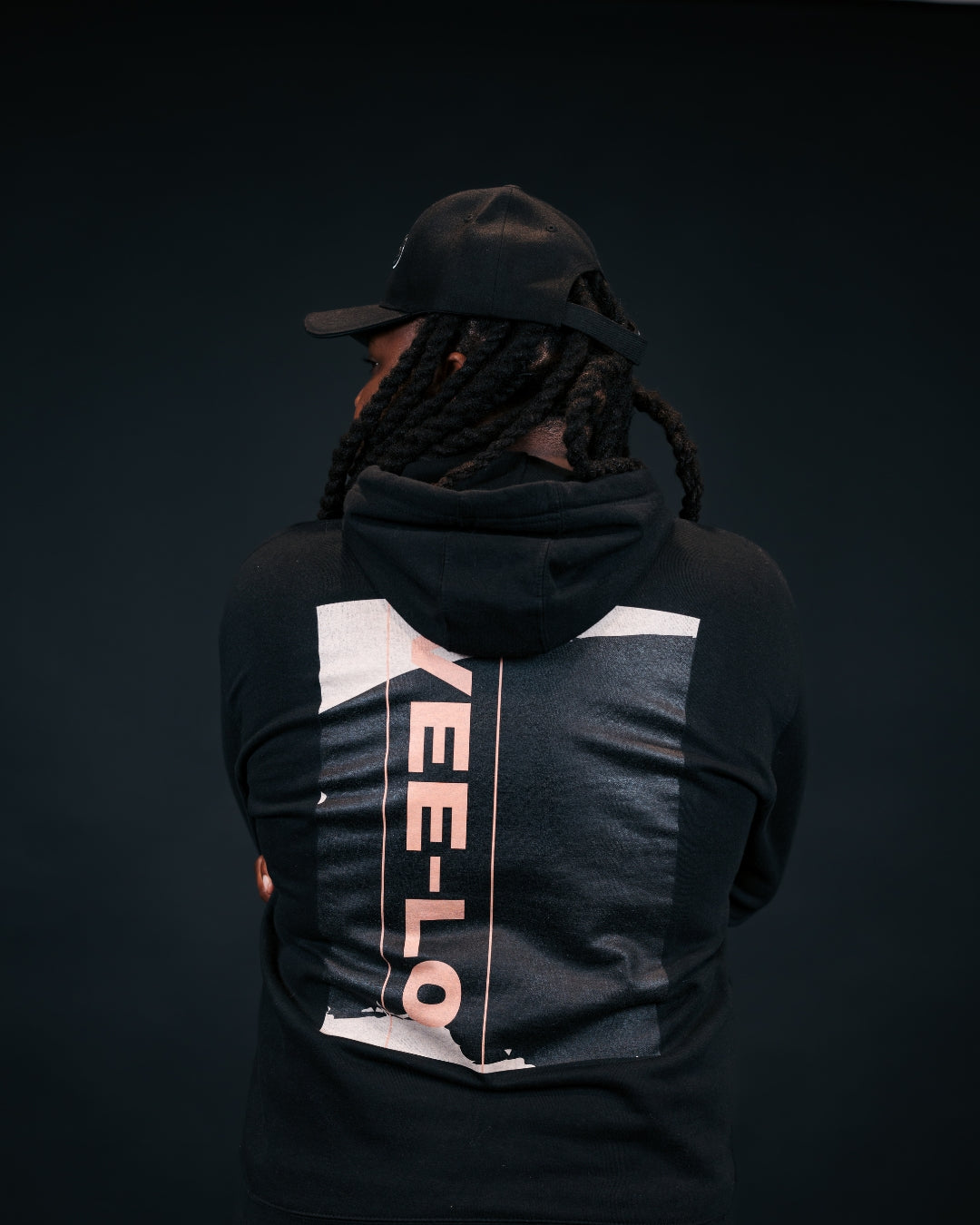 Brand Hoodie MNS